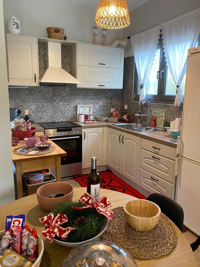 Stellas Guesthouse Near Arachova Stírion 外观 照片