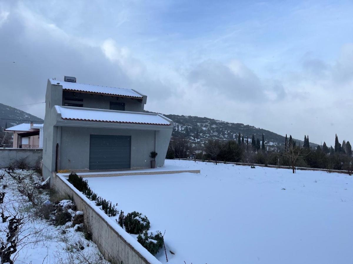 Stellas Guesthouse Near Arachova Stírion 外观 照片