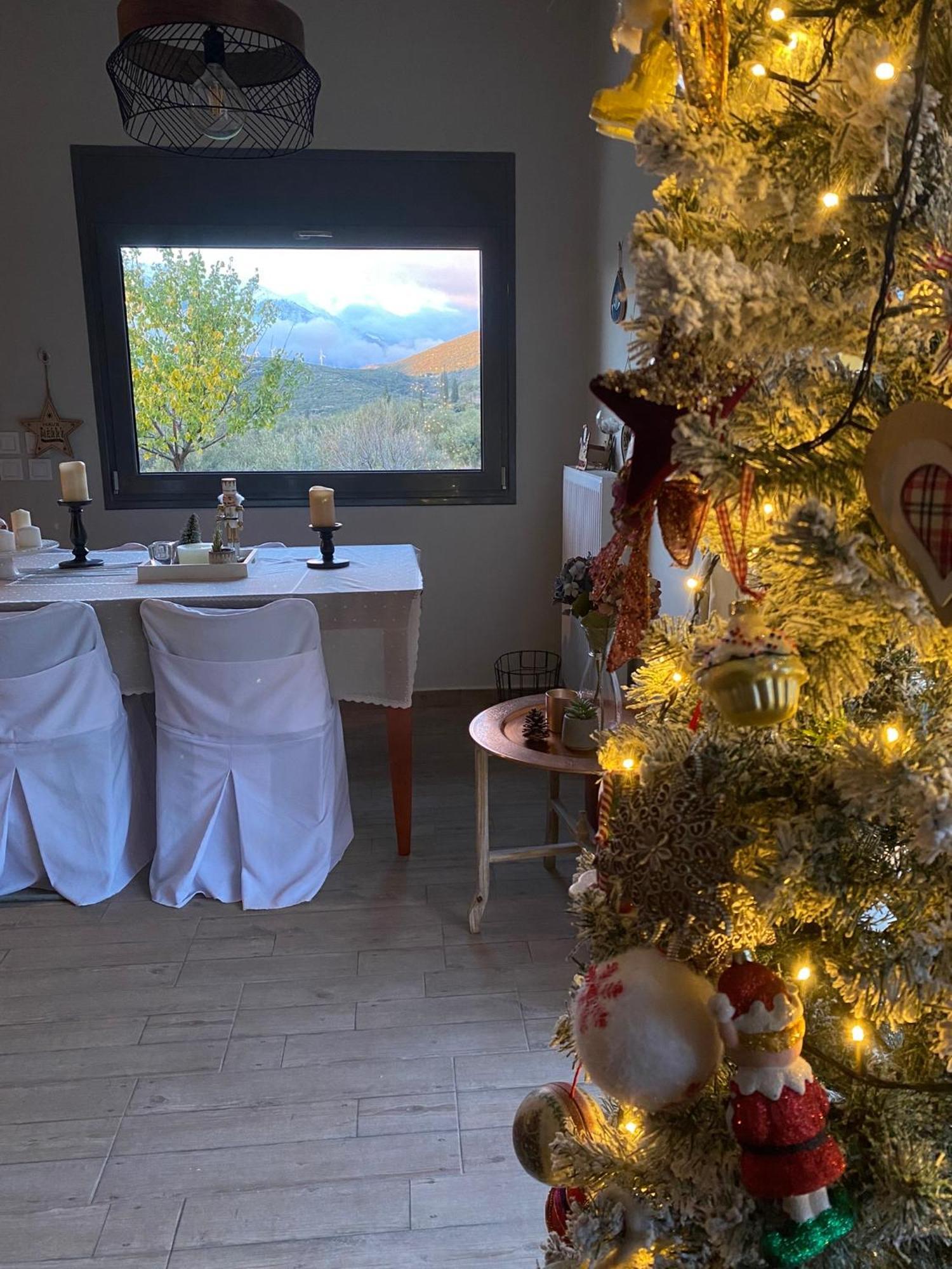 Stellas Guesthouse Near Arachova Stírion 外观 照片