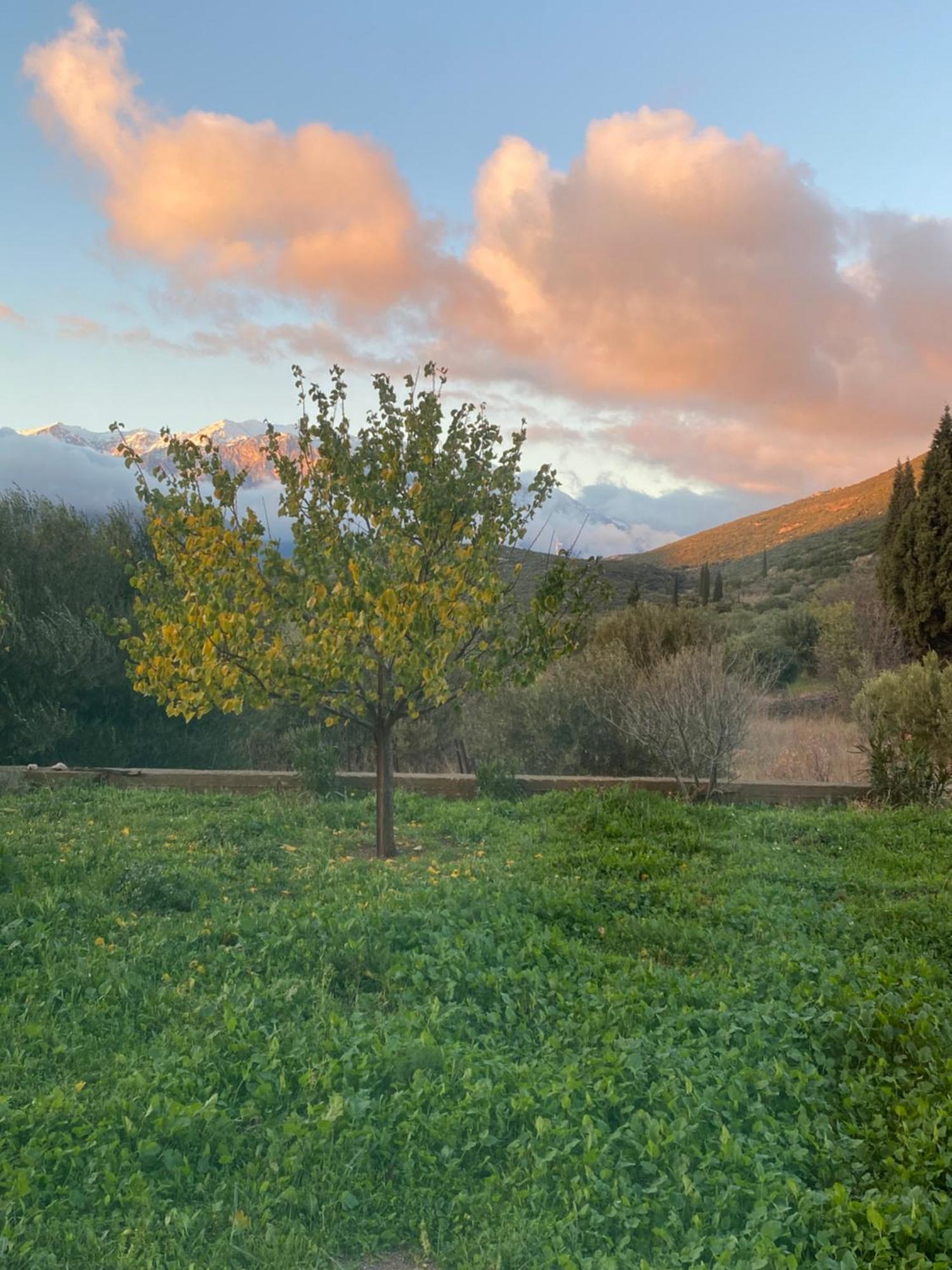Stellas Guesthouse Near Arachova Stírion 外观 照片