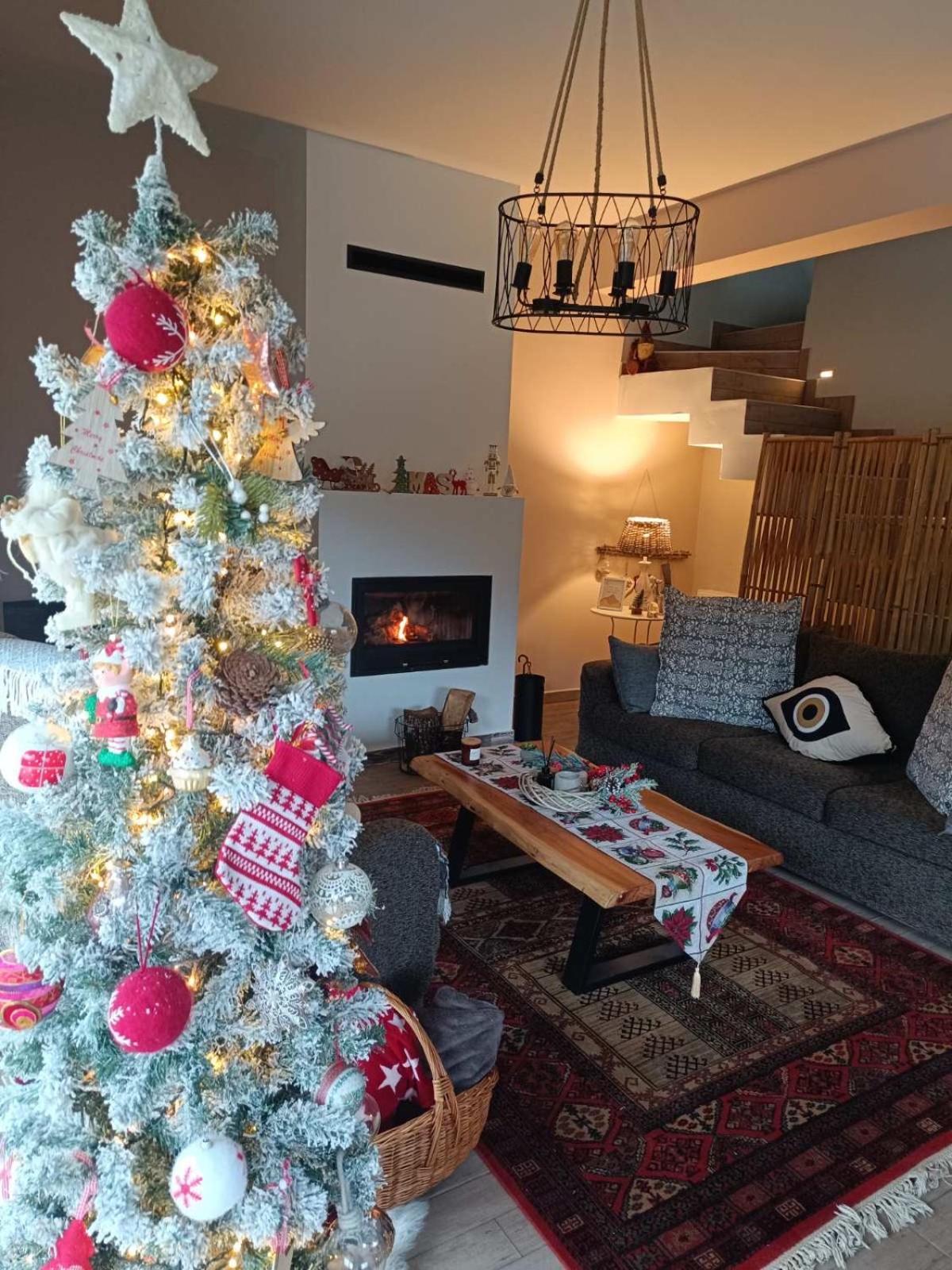 Stellas Guesthouse Near Arachova Stírion 外观 照片